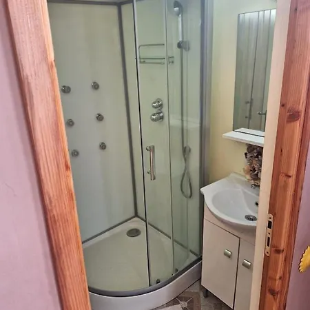Gasthuis Vila Pestisorul 3*