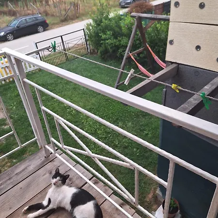 Vila Pestisorul Gasthuis 3*