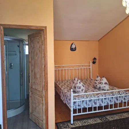 Guest house Vila Pestisorul