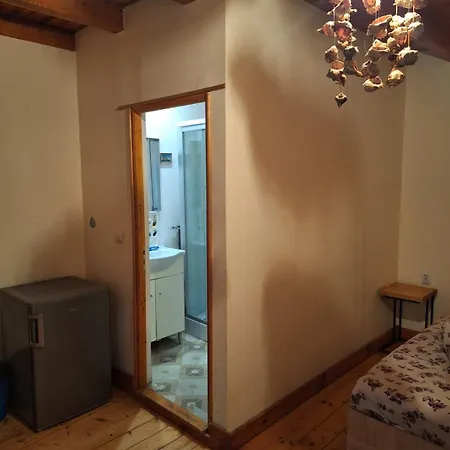 Vila Pestisorul Guest house